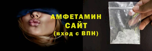 индика Горнозаводск