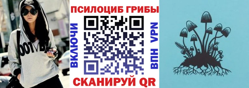Псилоцибиновые грибы мухоморы  гидра зеркало  Егорьевск  дарнет шоп 
